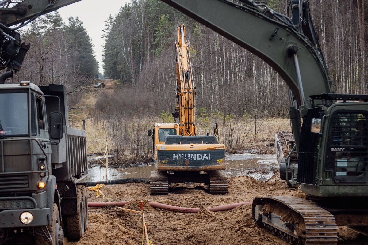     / Источник: © IMAGO/Robertas Riabovas/Global Look Press