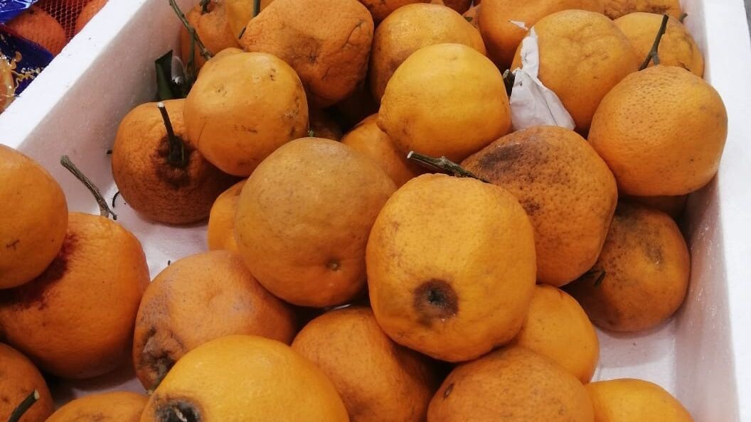     Источник: vostokmedia.com