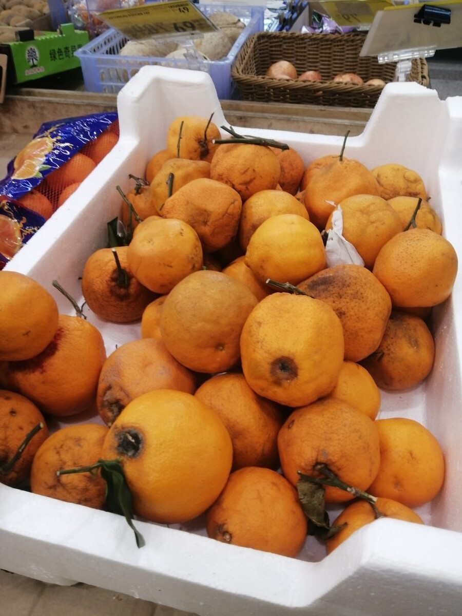     Источник: vostokmedia.com