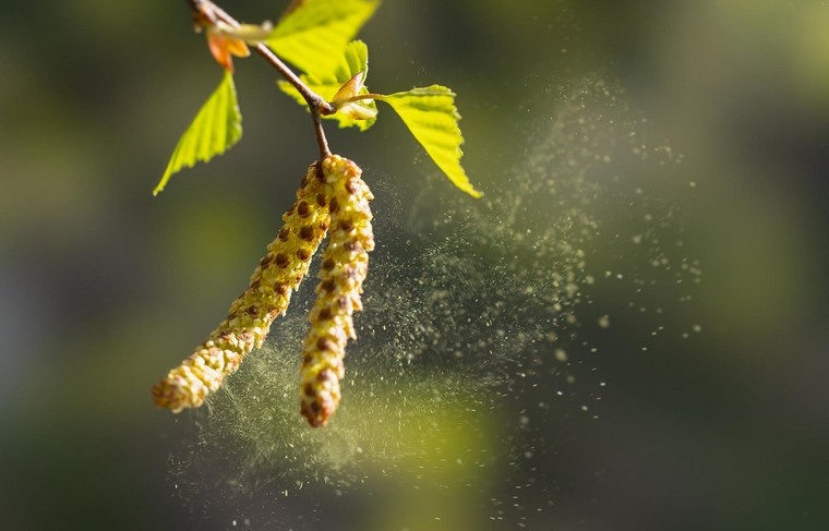    Shutterstock/FOTODOM