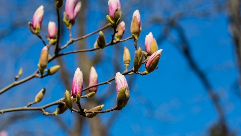 Фото: @annanelidova / freepik.com