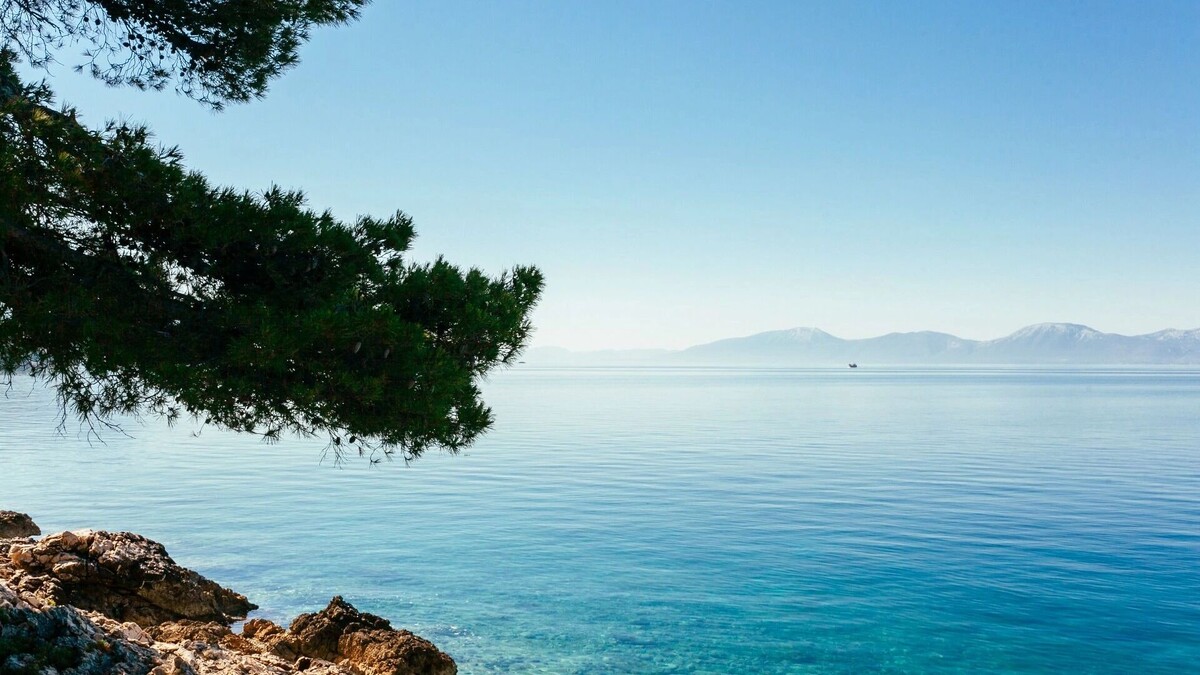     Источник: freepik.com