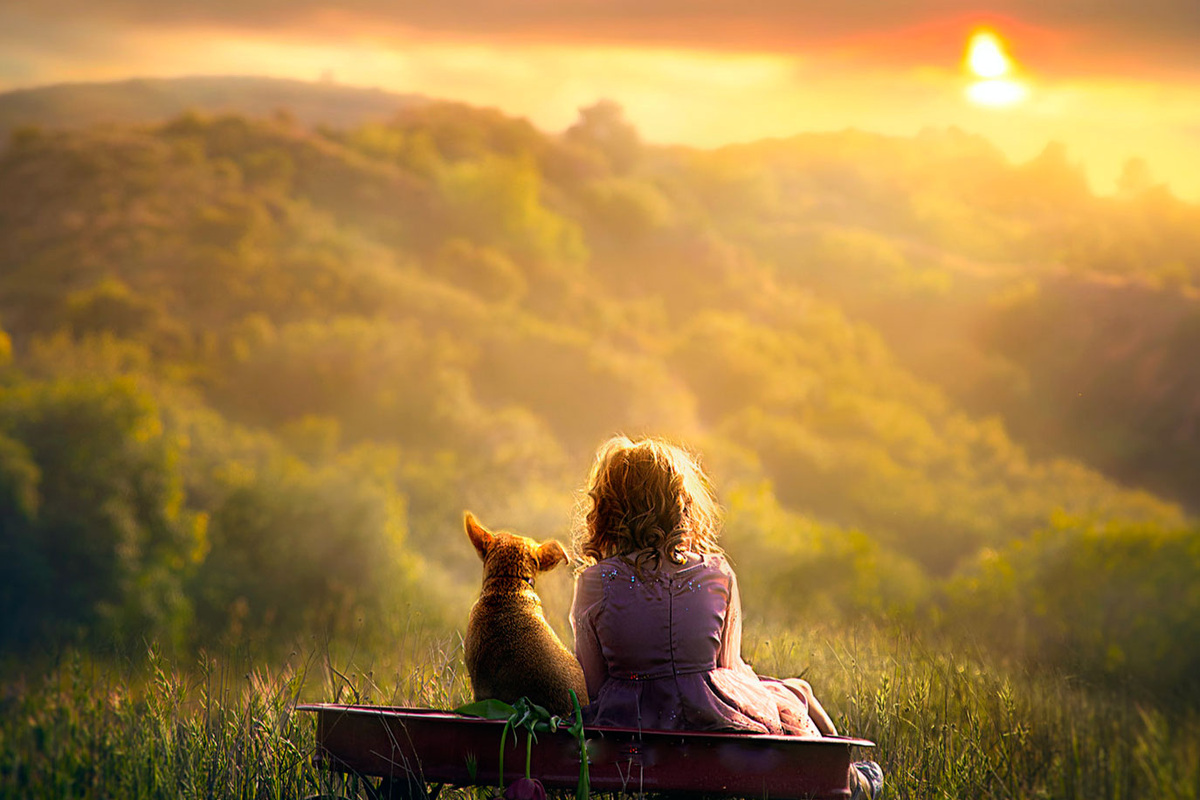 Под психоделиками активизируются области мозга, которые обычно слабо связаны, что может приводить к нестандартным идеям