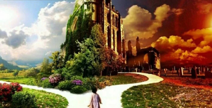 Фото взято с Яндекс. Картинки.