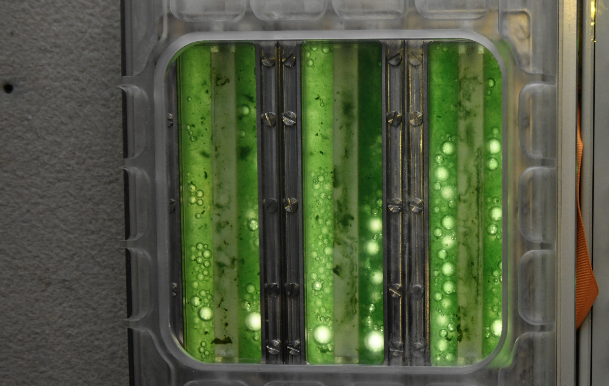 Фото Иван Вагнер/ Роскосмос/ ТАСС  📷
