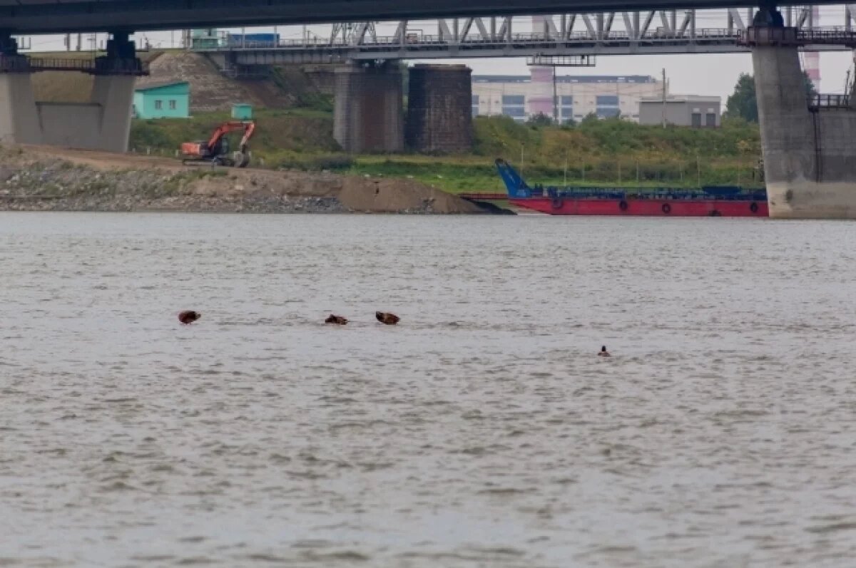    Стали известны территории-лидеры по туризму в Новосибирской области