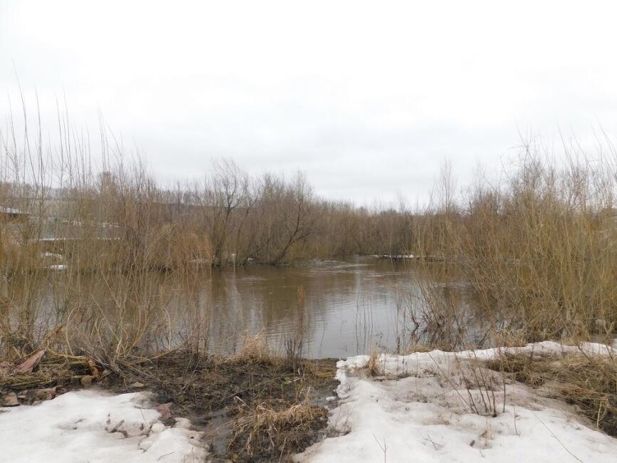    Дожди и пасмурно.. Фото Анны Зубаревой