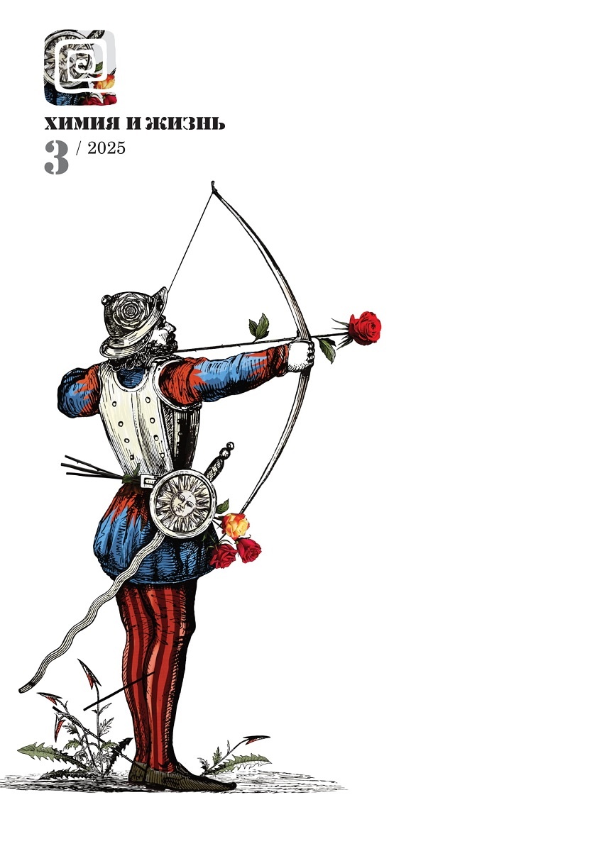 Дизайн обложки: Александр Кук