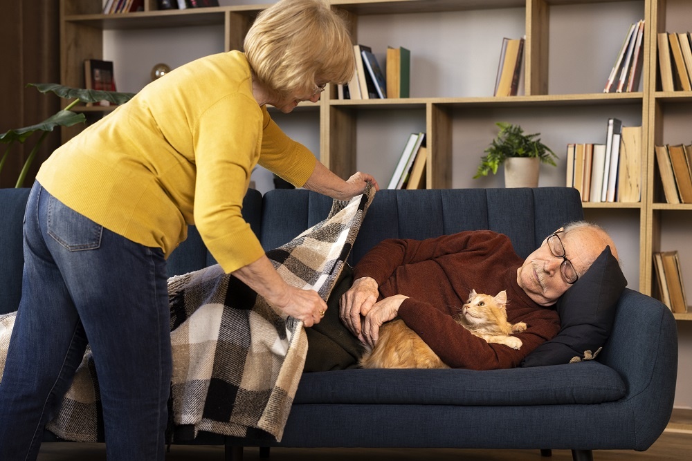 Социальным предпринимателям необходимо подать документы для внесения сведений в единый реестр МСП