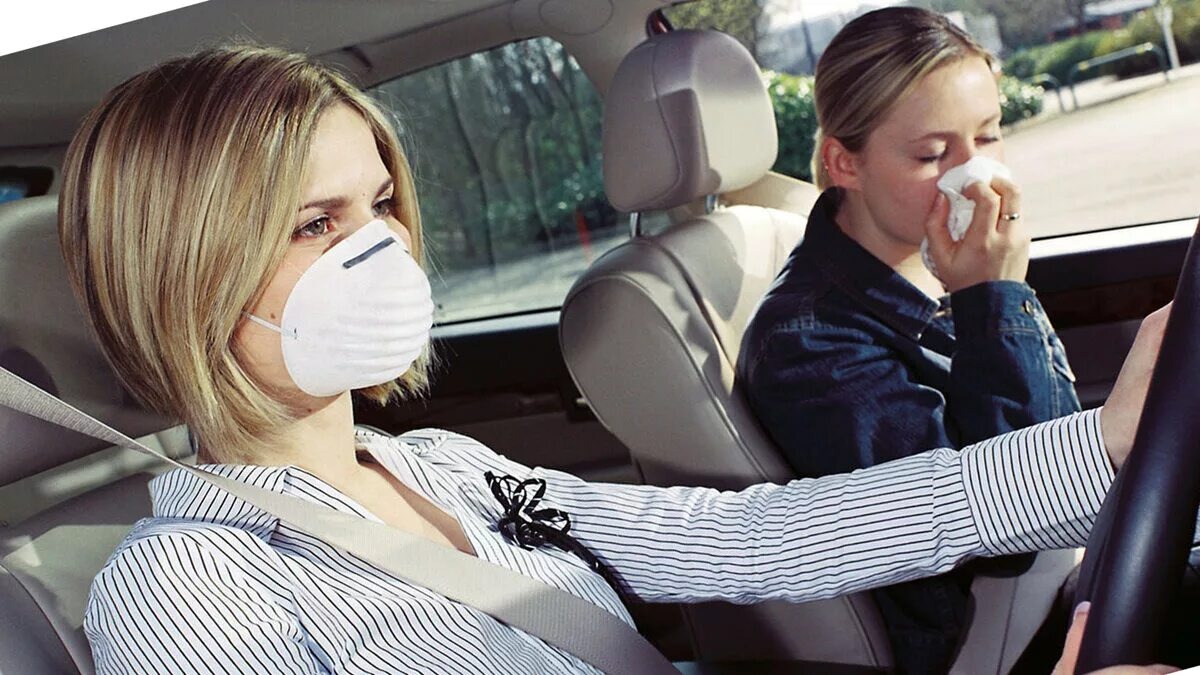 Фото заимствовано - https://autosprite.ru/foto/pochemu-paxnet-v-salone