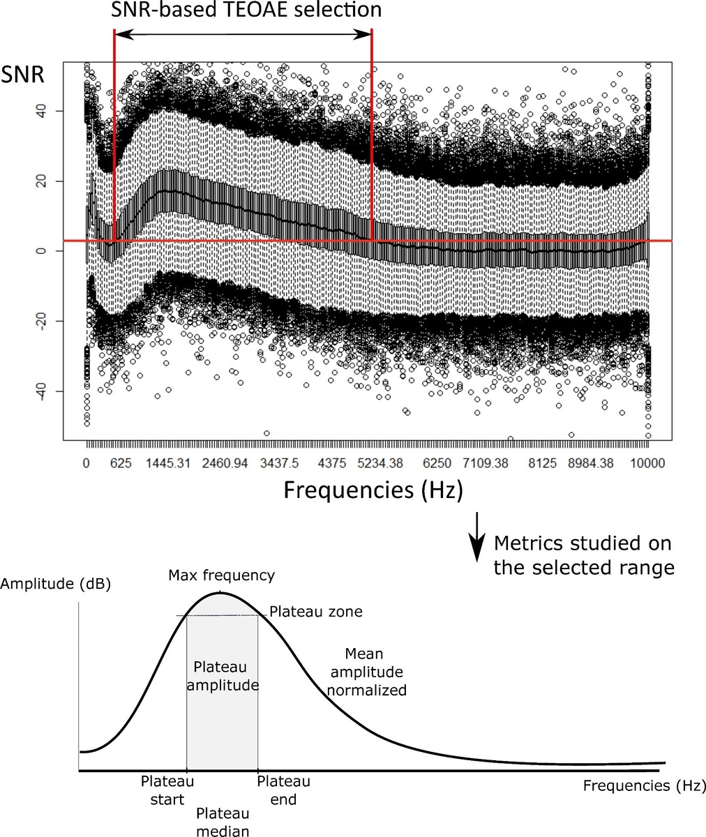    Scientific Reports (2025)