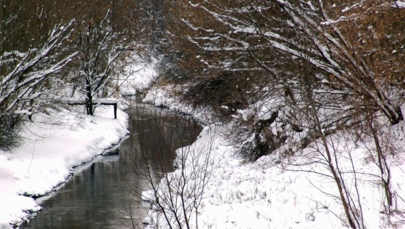 Фото: pxhere.com