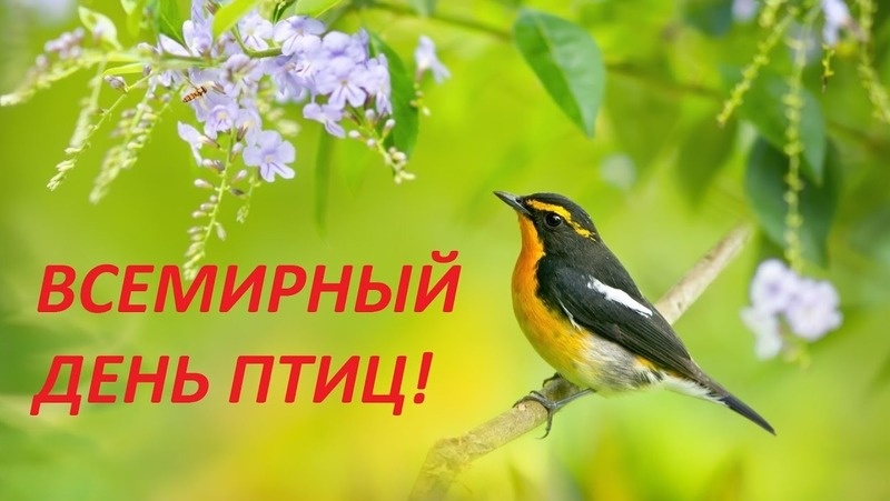 Фото: bipbap.ru