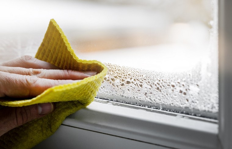    Shutterstock/FOTODOM