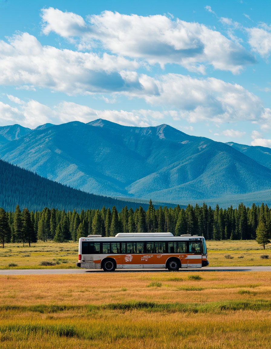 картинка создана нейросетью по запросу автора