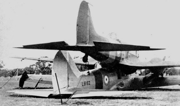 Картинки Яндекса  