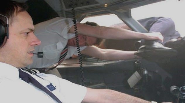 Картинки Яндекса  