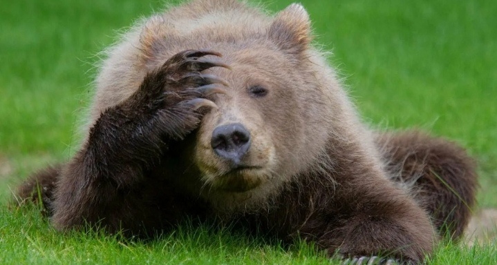 Никогда такого не было, и вот, опять.