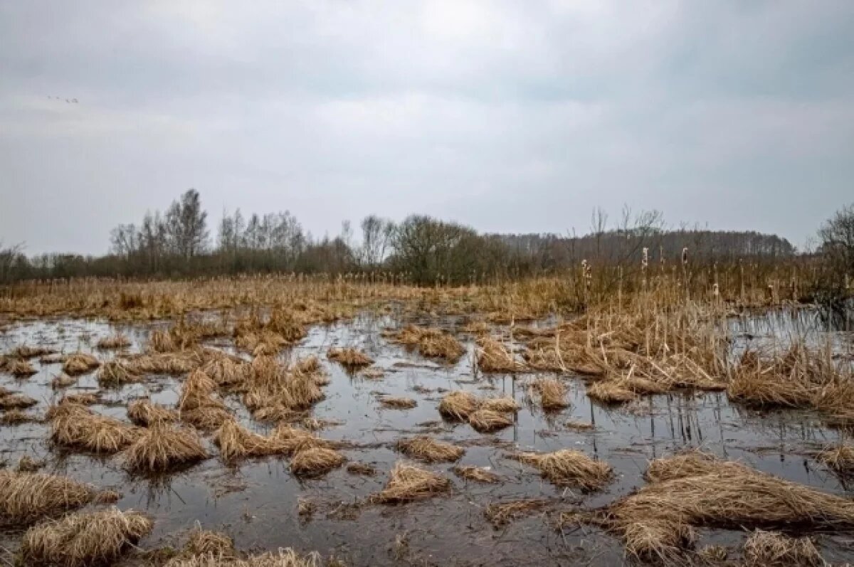   Правительство утвердило план борьбы с подтоплением в Омском районе