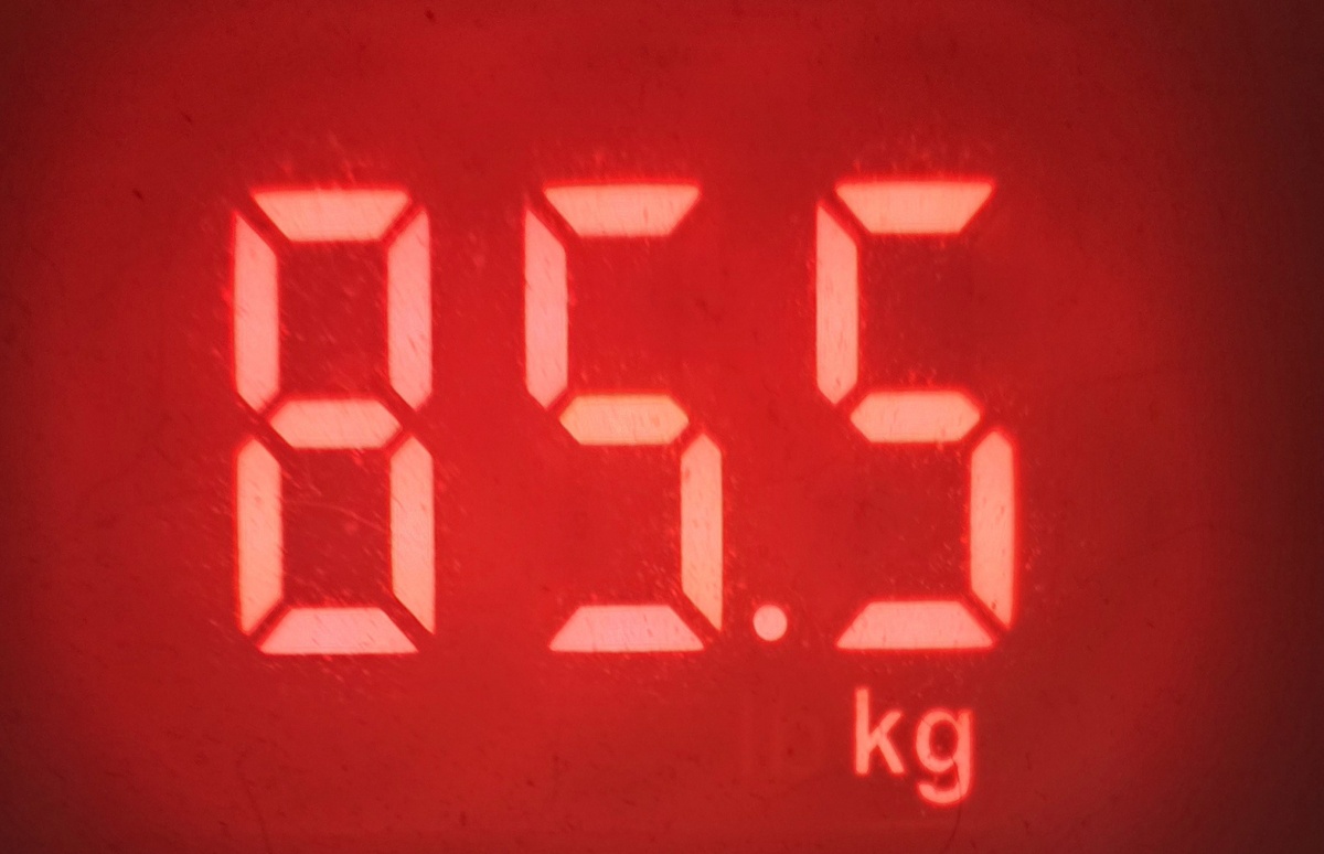 Стрекоза опять худеет день 26-29 дни