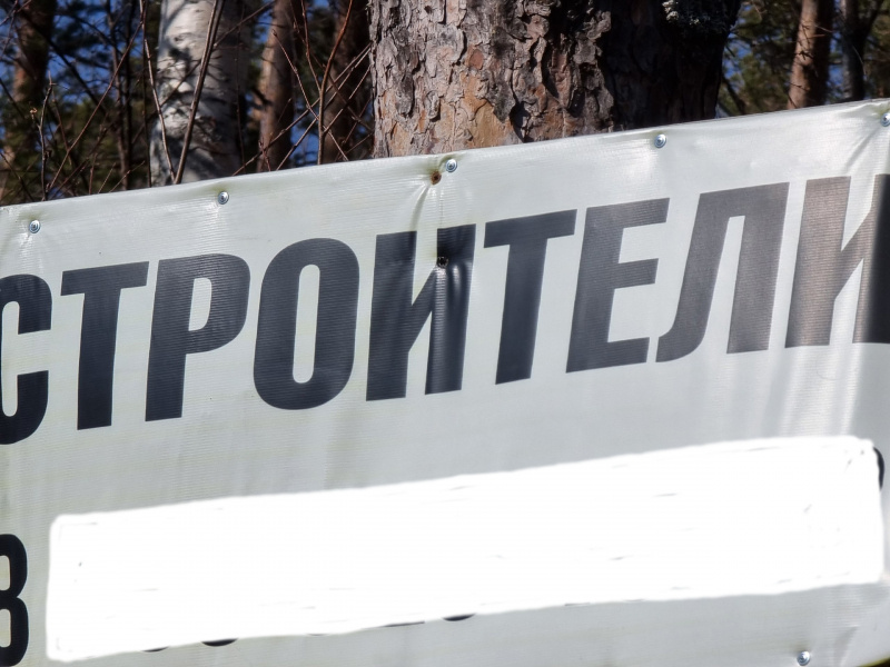    Рабочие приколачивают гвоздями рекламу к стволам деревьев в ПетрозаводскеИрина Яковлева / Фактор