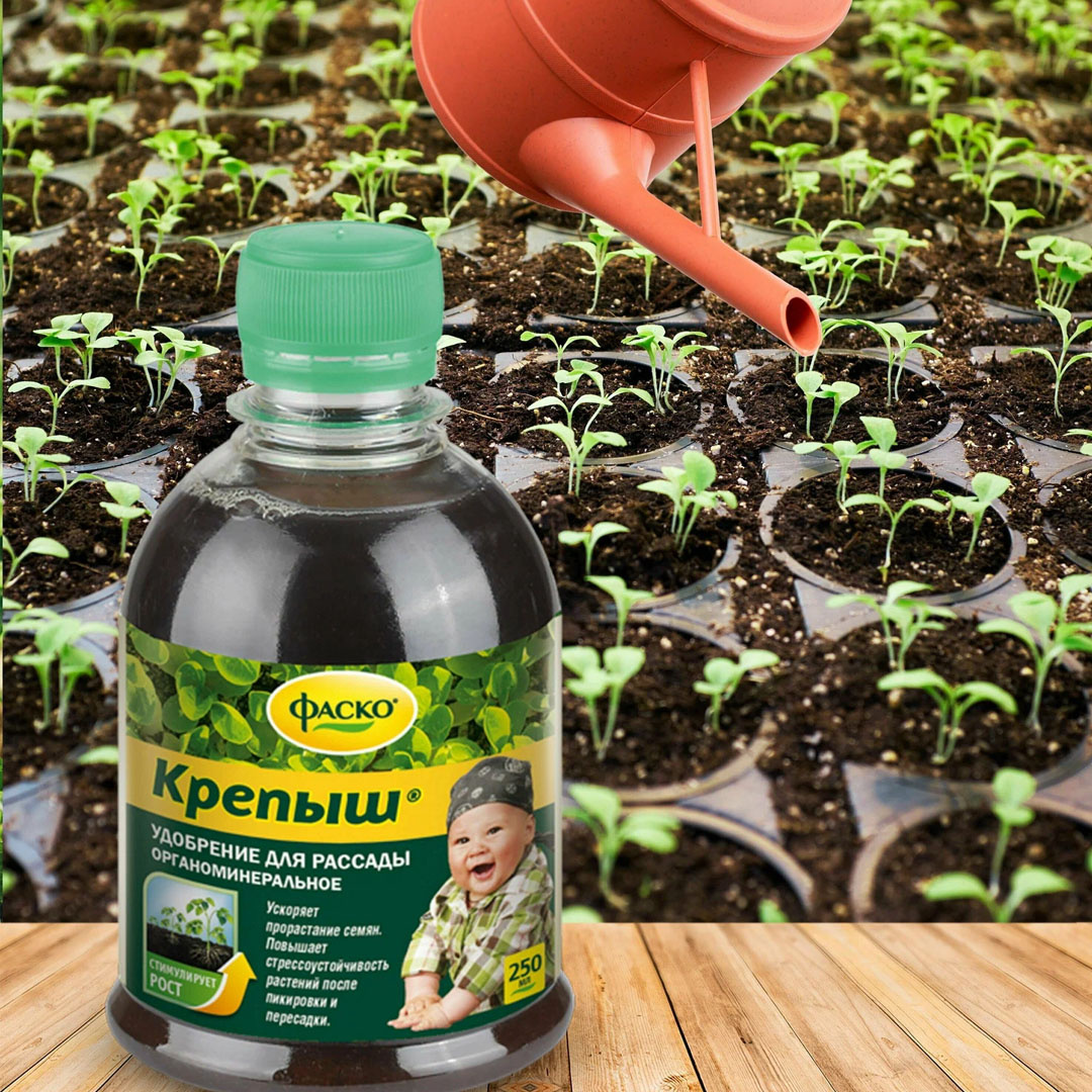 А вы всегда используете удобрения для рассады?
