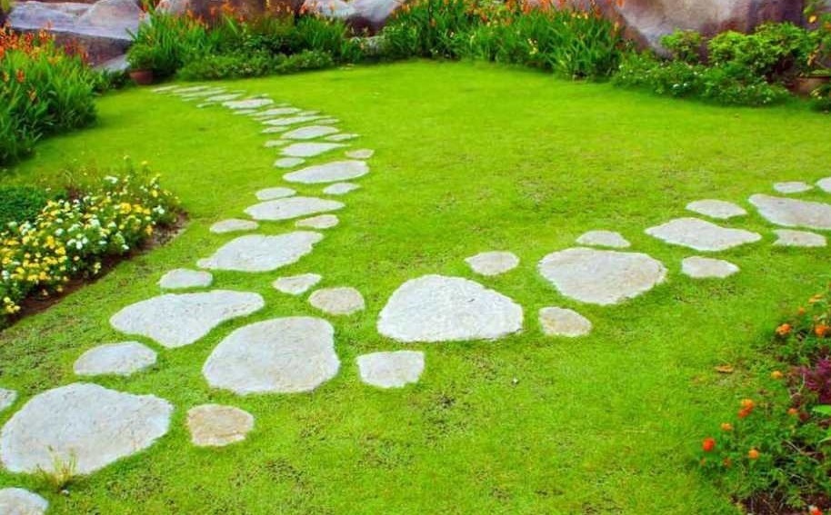 Мшанка устойчива к вытаптыванию