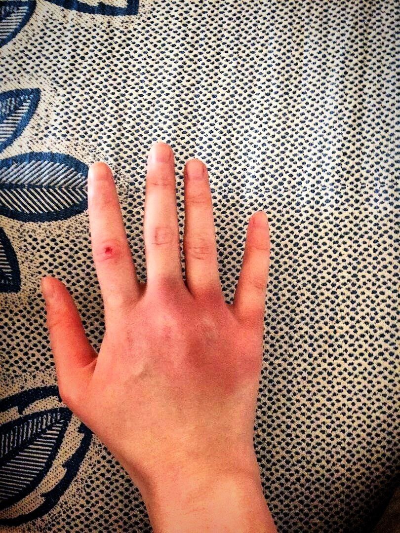 Фото с просторов всемирной паутины.