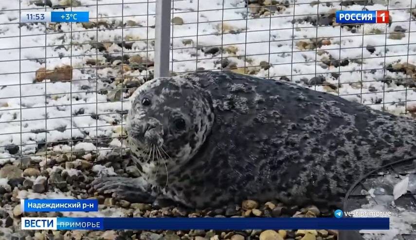    Источник фото: