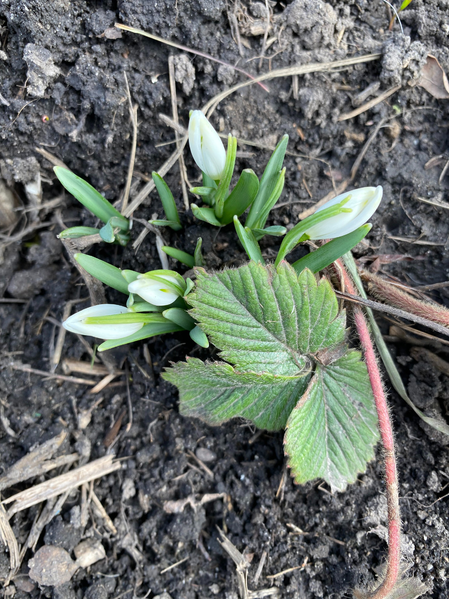 Мой двор. Март