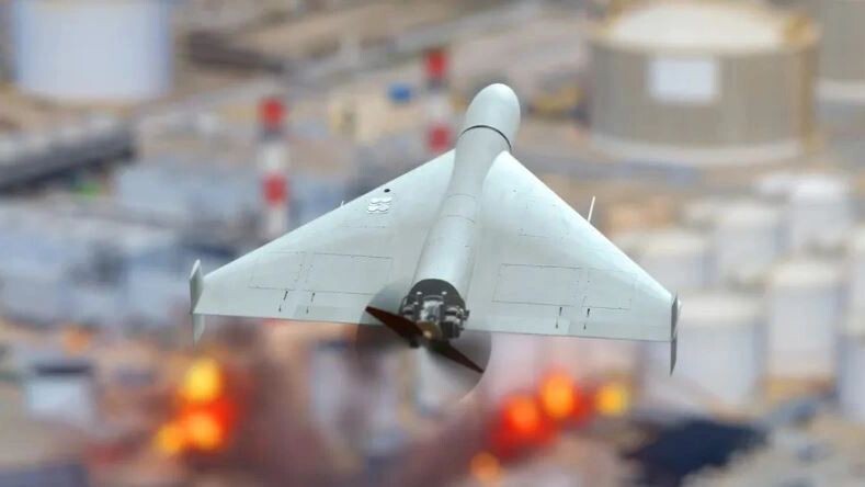    Фото: Anelo/Shutterstock/Fotodom