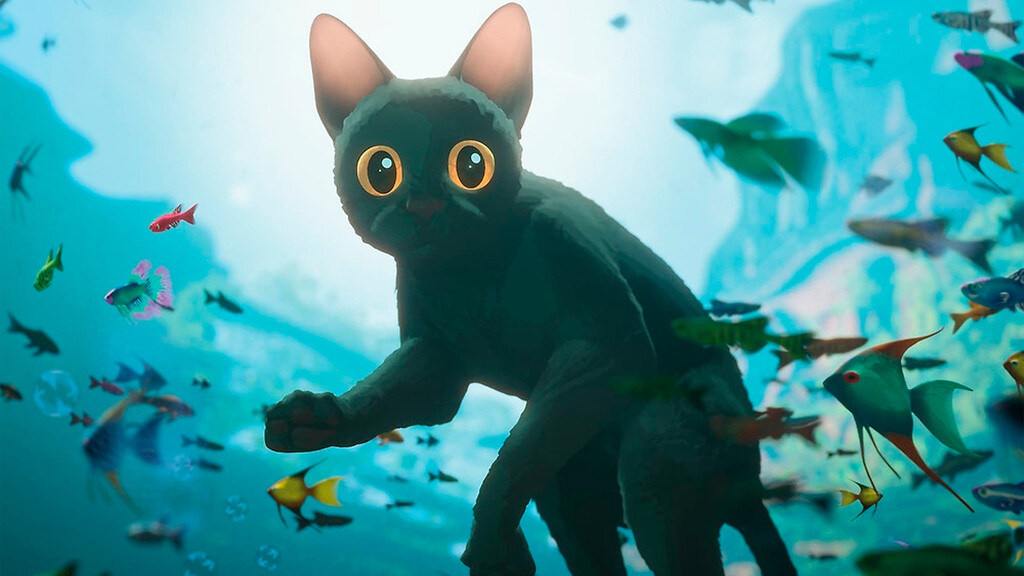 кадр из фильма