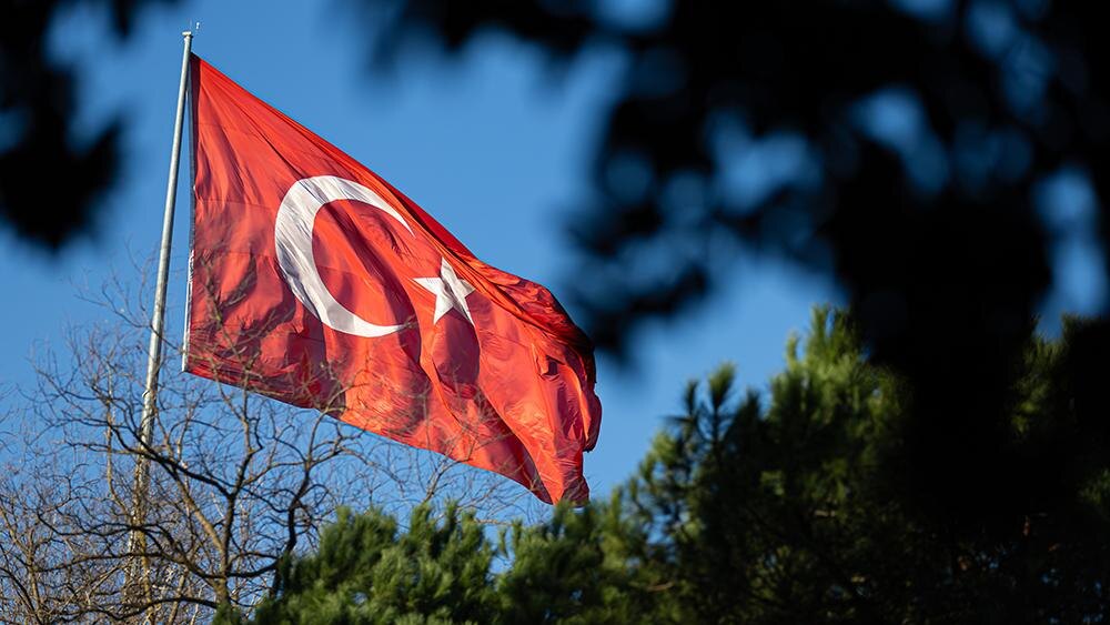    Фото: Edgar Breshchanov/Global Look Press