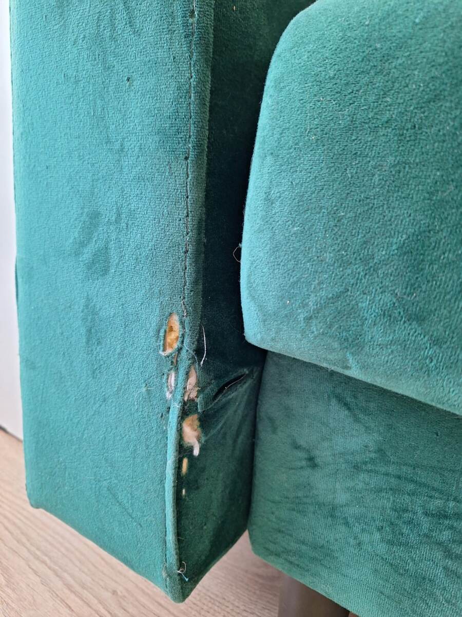 Диван пострадал от кота