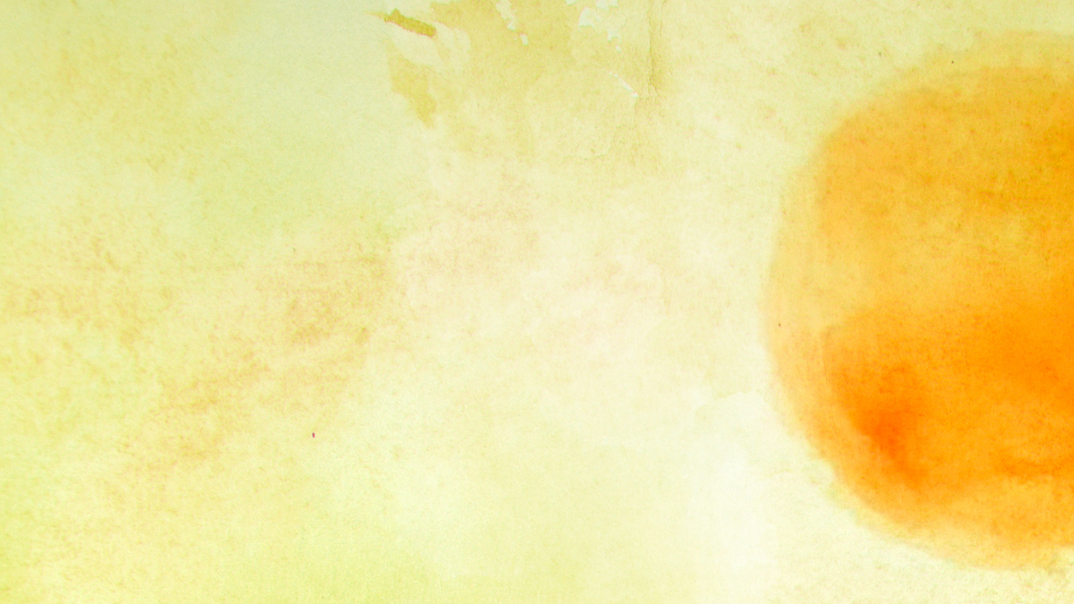 © иллюстрация канала «Солнечные слова»