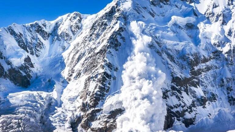    Фото: Lysogor Roman/Shutterstock/Fotodom