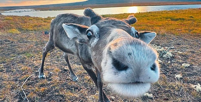 фото Евгений Щербатюк