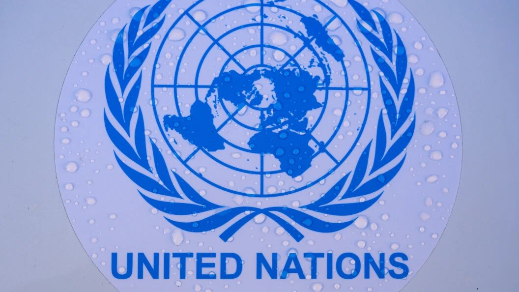    Фото: Patrick Pleul/Globallookpress