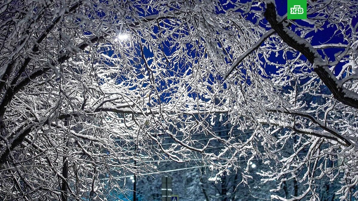    Фото: М. Денисова / mos.ru