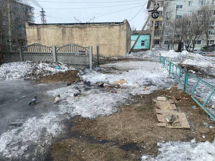    Фото: администрация села Варваровка