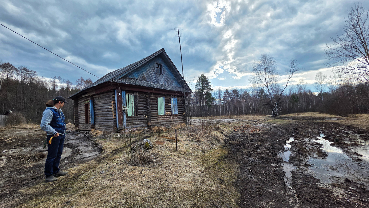 Лужу засыпаем, почти до дома - асфальт