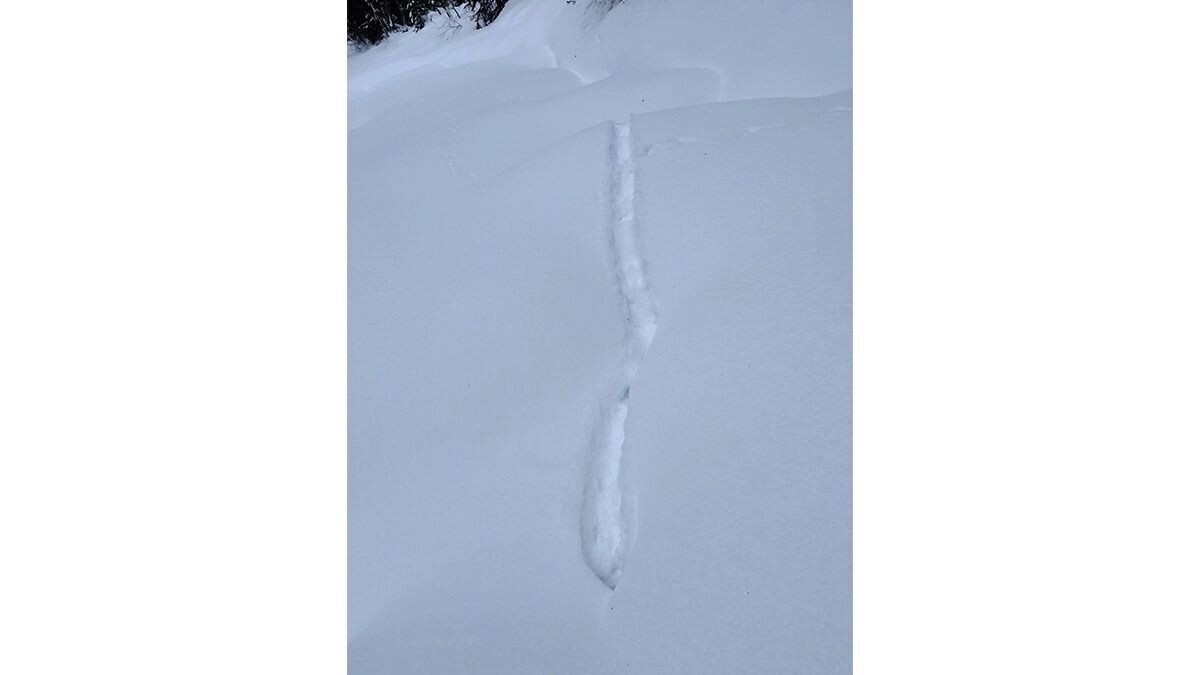     Источник: basegi.ru