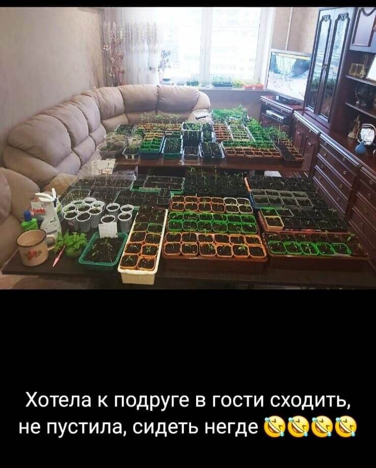 Тематические картинки из тырнета от подписчицы Симоновой Л.