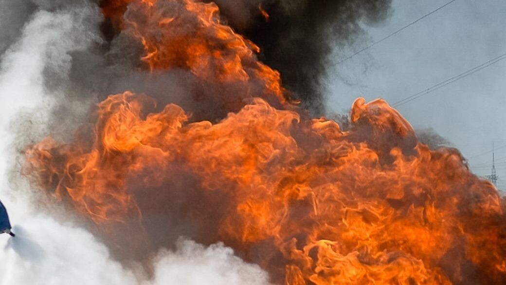     Источник: 1MI