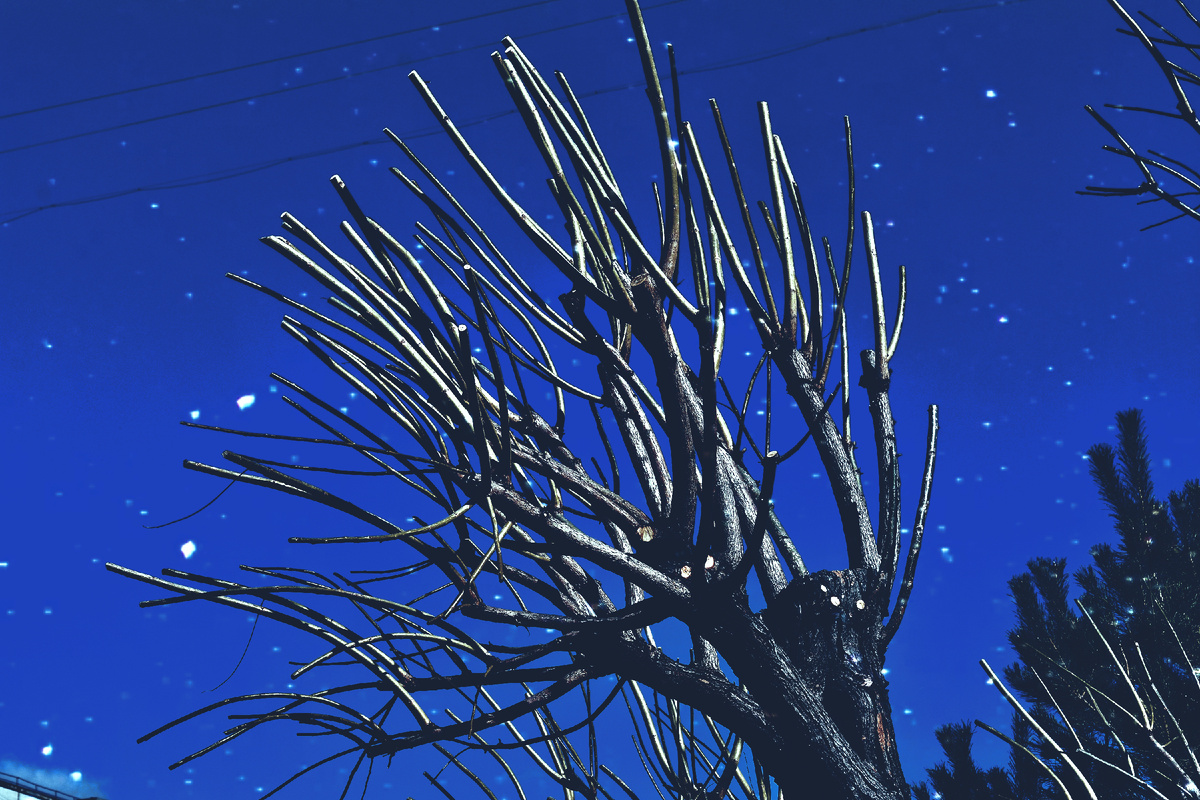 Копирование фотографий запрещено. Контент является интеллектуальной собственностью. Защищён авторским правом.
