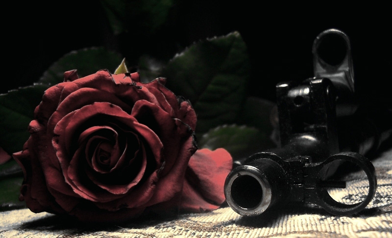 Фото из соц сетей .