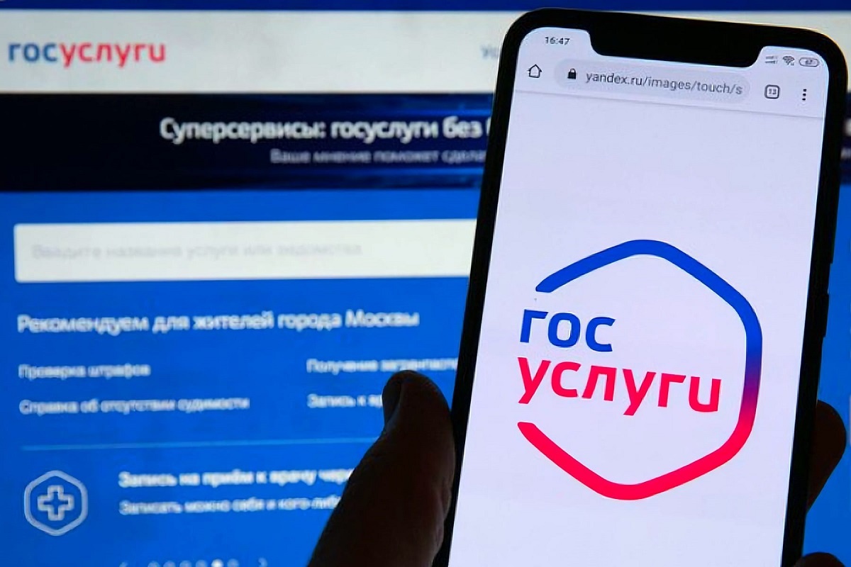 Закон о некоммерческих товариществах. Закон о некоммерческих товариществах. 217 фз о садоводческих товариществах. Садоводческие и огороднические некоммерческие товарищества фз. Ликвидация снт.