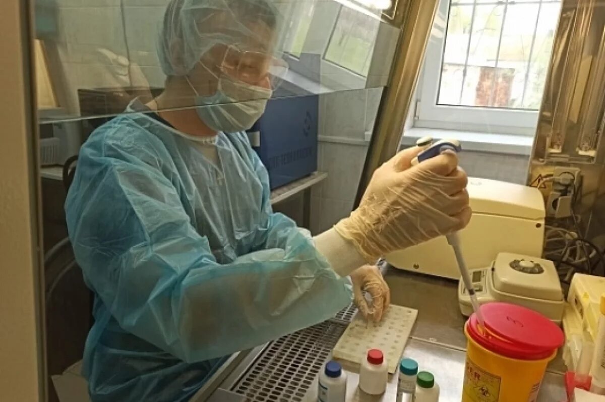    Волгоградцы могут не волноваться по поводу нового вируса, утверждают в РПН