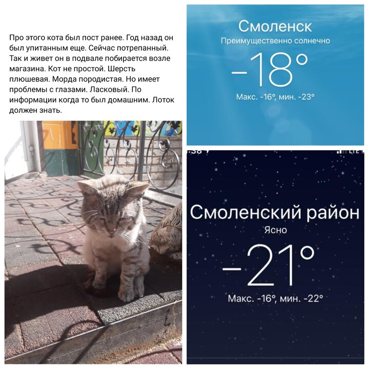 Таким его увидела