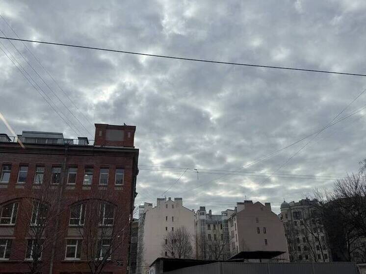     С юга в регион придут обширные облака. Фото: МК в Питере